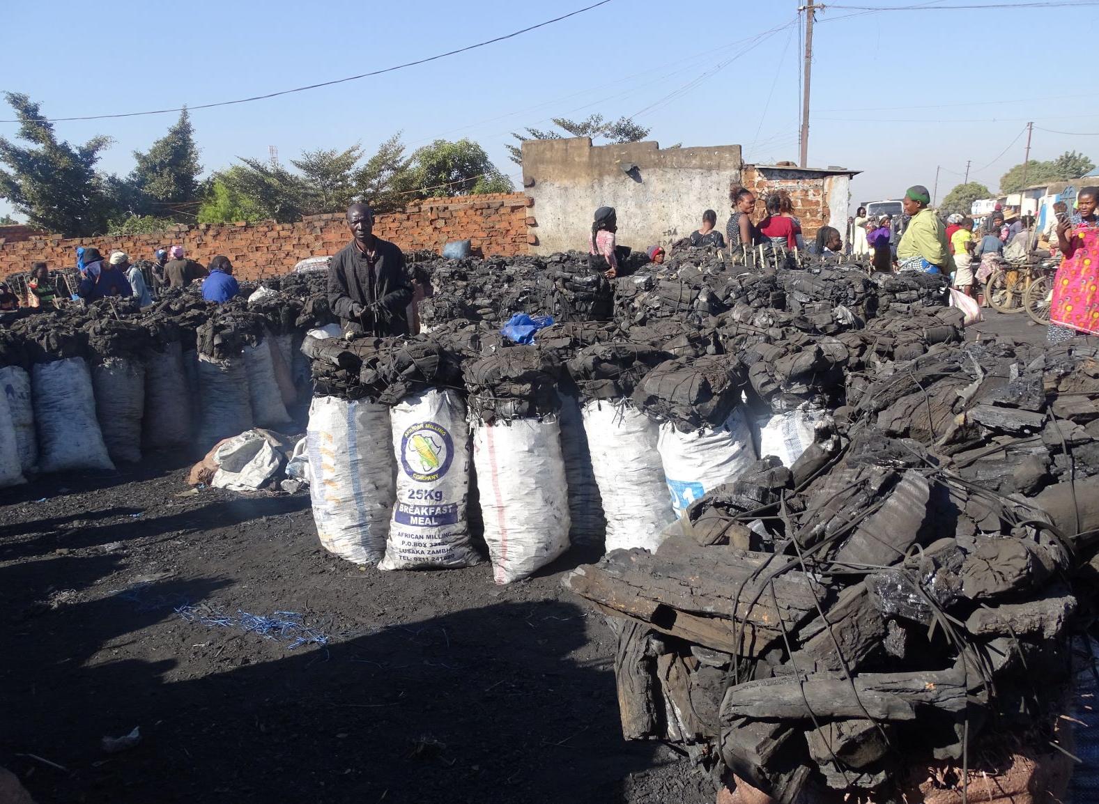 Stocks de charbon de bois à Lubumbashi (Photo: Jan Bogaert)