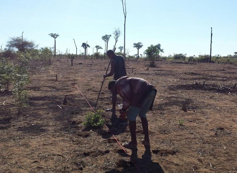 Les multiples enjeux de l'arachide à Madagascar - Photo: Louvain Coopération 