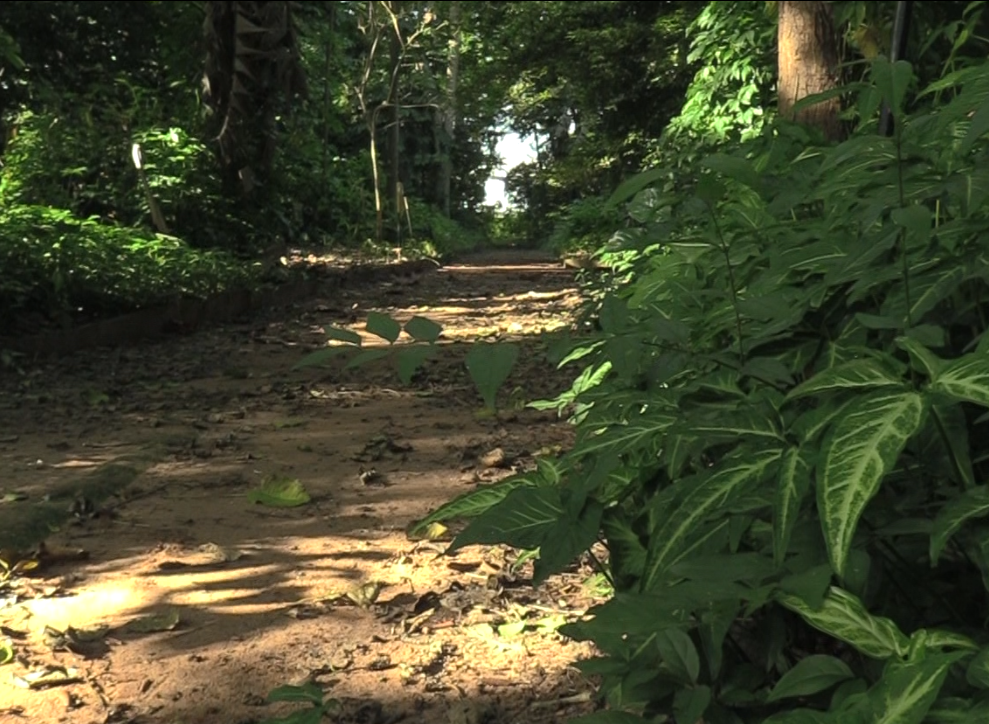 PRD-Foresterie Urbaine 