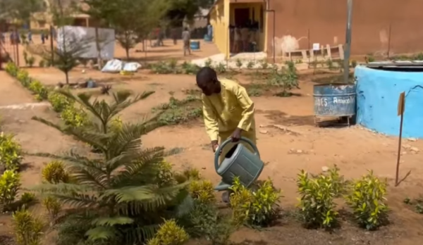 Les jardins alimentaires