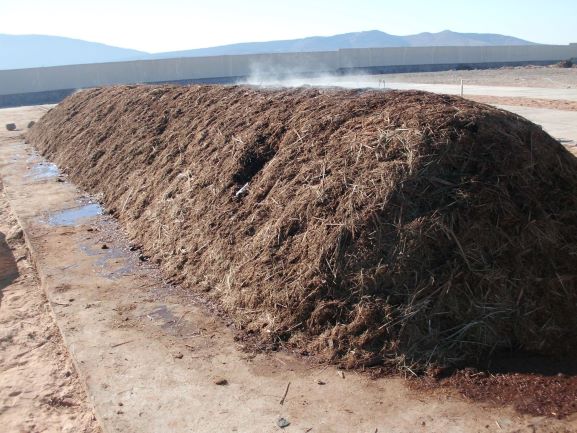 compost
