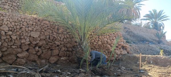 Mission belge au Maroc