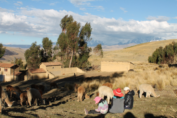 Entretiens - Huacantinco