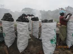 La mise en sac du charbon de bois - Photo : G. Lofuta